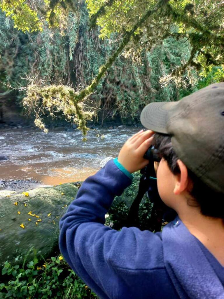 Un miembro de Guardianes de Aves del Chocó Andino busca aves por sus binoculares.