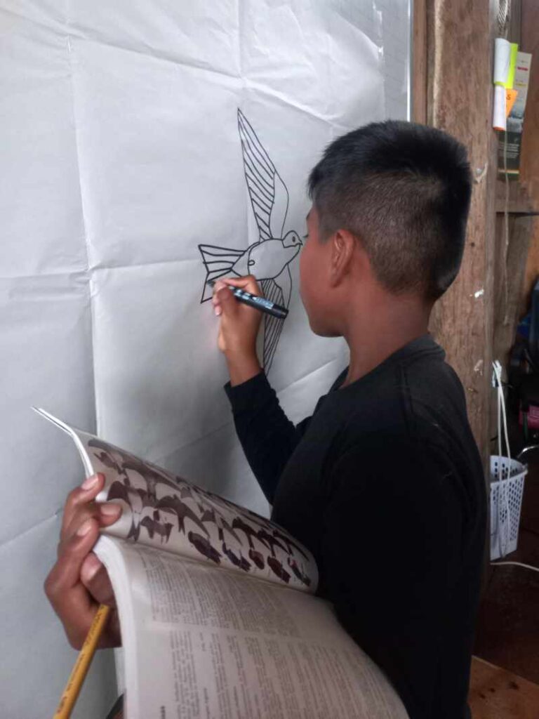 Un miembro de Guardianes de Aves del Chocó Andino dibuja un ave.
