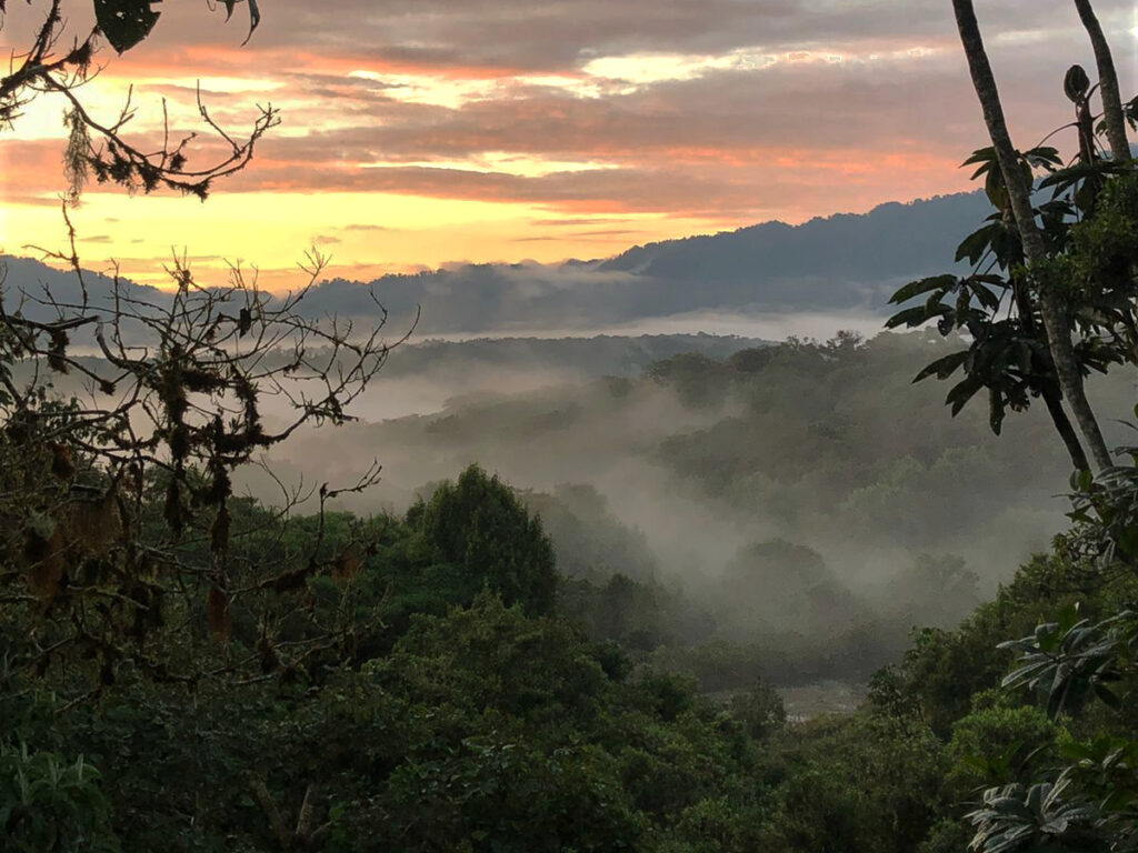 Atardecer con neblina en la Reserva Yumbo Mashpi